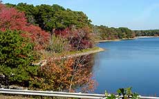 View of  Dennis Pond from Willow Street, 2006