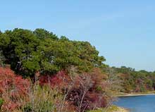 Dennis Pond, seen from Willow Street