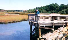 Sea Holly Park after undevelopment.