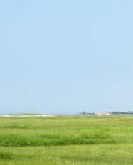 View of YCT's 34 acres of salt marsh from YCT's  Green Hill Farm Conservation Restriction